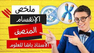 #13 | ثانية ثانوي - ملخص الانقسام المنصف (مبسط)