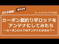 BCL中級編～その19～　カーボン製釣り竿をBCL用の簡易なアンテナにしてみたら・・・という動画です。