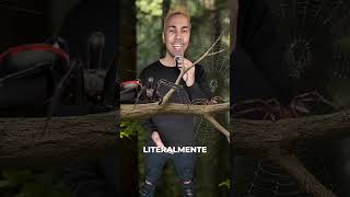 5 animais com as vidas mais tristes que você já viu