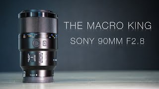 The Macro King 👑 - Sony 90mm F2 8 Macro G OSS - Sharpness, Portrait & Video Test