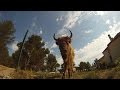 El bisonte europeo regresa a Valencia después de 10.000 años