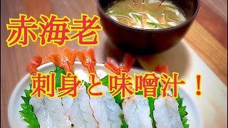 アラサー男子のリアル男子ごはん！格安赤海老で！刺身&お味噌汁！