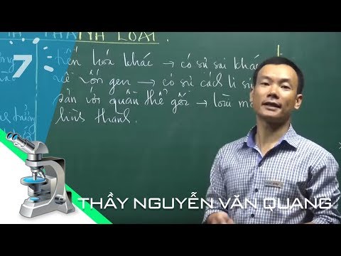 Video Sinh học 12 Bài 18: Quá trình hình thành loài | HỌC247 - YouTube