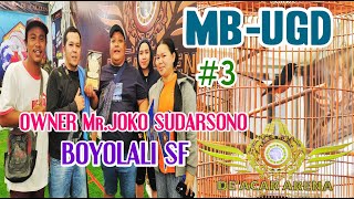 MURAI BATU "UGD" OWNER Mr.JOKO SUDARSONO BOYOLALI SF MASUK PODIUM #3 SOFT LAUNCHING DEACAR ARENA screenshot 3