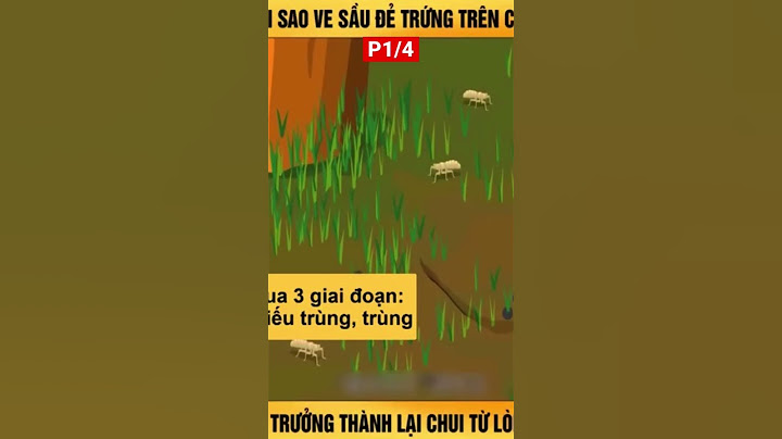 Cho biết ve sầu có kiểu phát triển nào