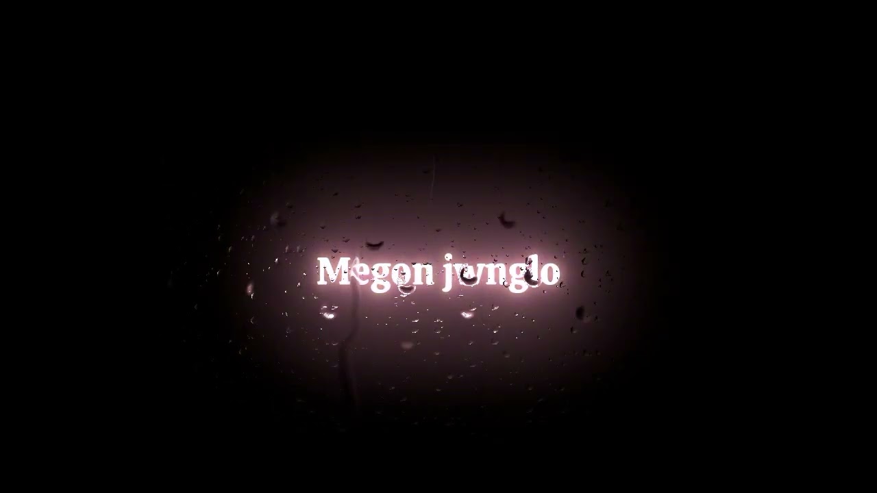 Bodo WhatsApp status video gwswjwnglo nwngkwo ang nagirw //20026