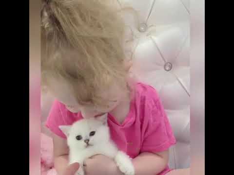 Моя Кира и
