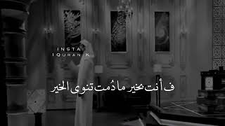 راحة البال الشيخ وسيم يوسف