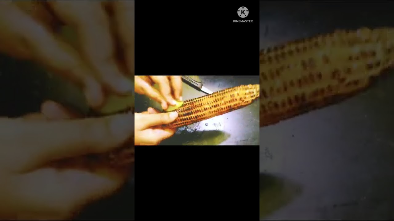 Roasted corn on gas stove|