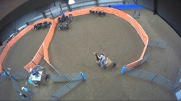 Big Sky Ranch Sorting Saddle Series #3 - Beginner Sort - Round #1 - Ride #4