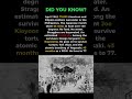 75,000 Prisoners Marched 65 Miles With No Water… 10,000 Never Made It 💀 | WW2 Tactics