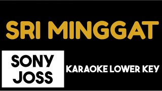 Sony Joss - Sri Minggat (Karaoke Lower Key)