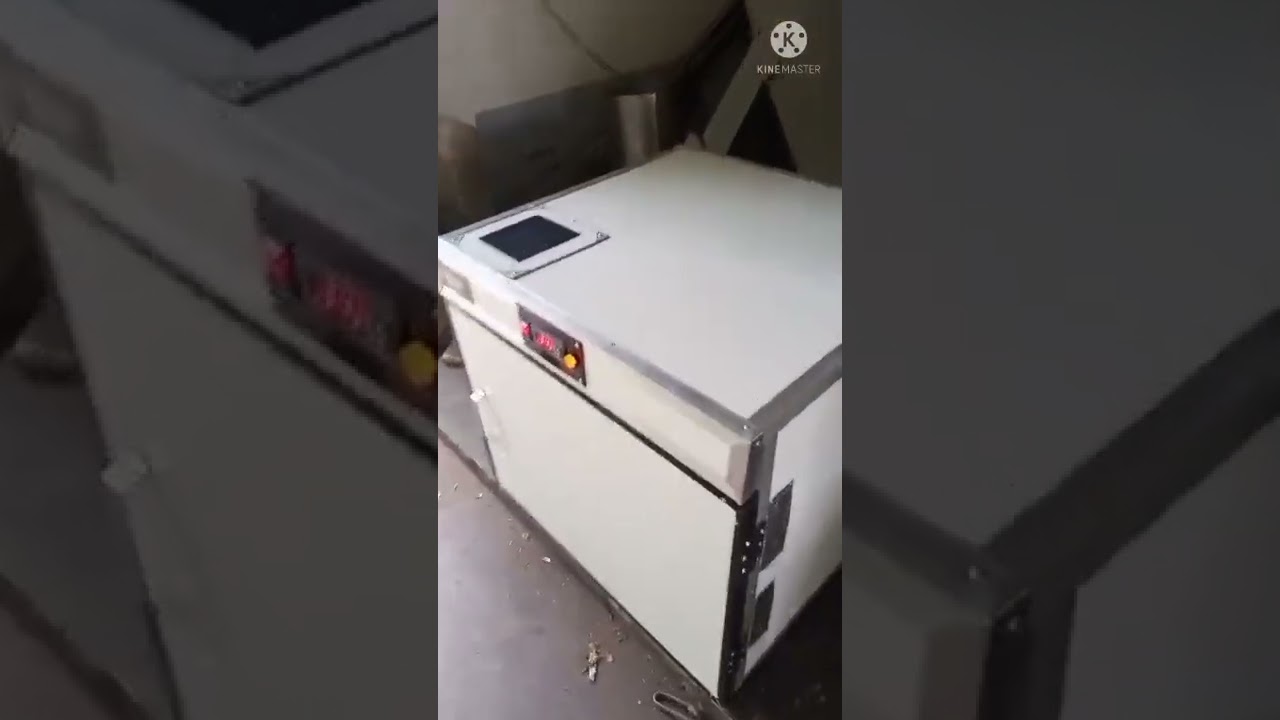 4 Gi tray  dryer with 20 kg of capacity.