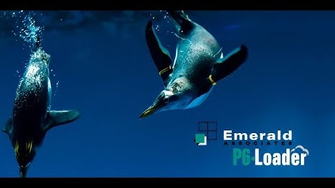 2024-05-08 - P6-Loader Webinar v13 - Automate Primavera P6 Data Loading and Updating