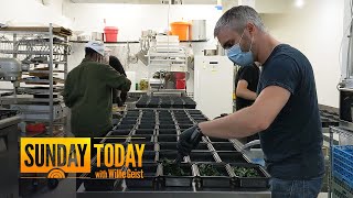 How The CARES Act Is Providing This Community With Free Meals | Sunday TODAY