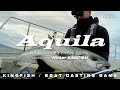 Aquila / Midwinter KINGFISH Extreme - 厳冬期のヒラマサキャスティングゲーム