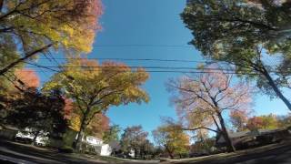 Fall view in New Jersey - 2 - 20161104