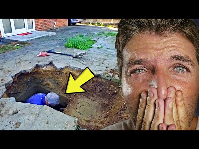 Man Kept Hearing Strange Noises Under Driveway, Look What He Found Inside -  YouTube