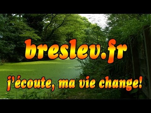 La base de donnée vient  du Tsadik  | Thora 34 | www.Breslev.fr