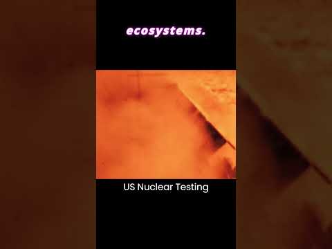 The Reality of Nuclear Winter Explained in 40 Seconds #shorts #facts #scary