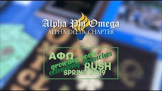 Growing Roots, Extending Branches - Spring Rush '19 Recap