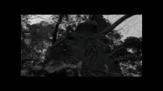 Shinobi - Heart under Blade