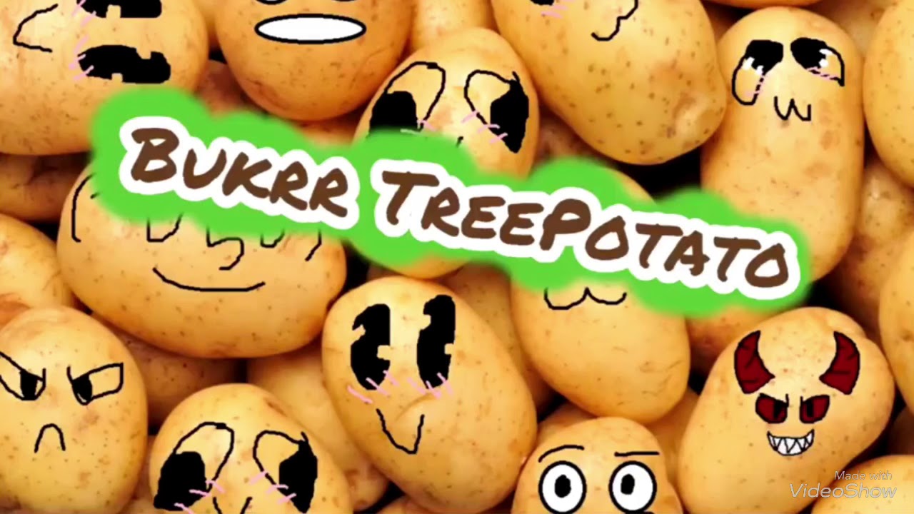 Subscribe to bukrr treepotato
