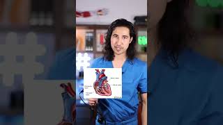 What Exactly Is A Heart Murmur?