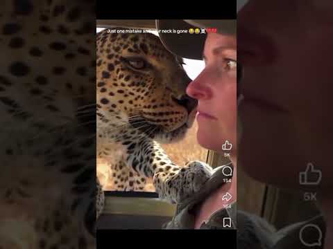 #Snackfun #shortvideo #funny video