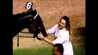 1998 Scioto Downs CAM COUNTRY Dave Hawk Open Pace $10,000