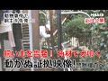 【予告】「飼い主を告発!角材で柴犬叩殴る/ 許すな!動物虐待」動かぬ証拠映像で警察捜査へ【注意】犬が叩かれる様子や犬の悲鳴が流れます。