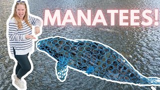Manatee Viewing Center in Apollo Beach Florida | Apollo Beach Manatee Viewing!