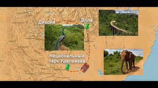 ЦЕЙЛОНСКОЕ КОЛЬЦО (наш маршрут на Шри-Ланке)