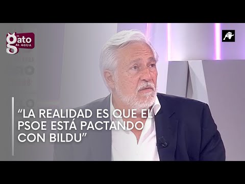 Julio Ariza: “La realidad es que el PSOE está pactando con Bildu”