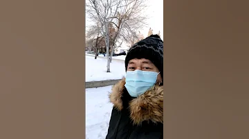 What do you think? | Walking on minus 28 degrees celsius temperature in Alberta Canada 🍁 🇨🇦 #shorts