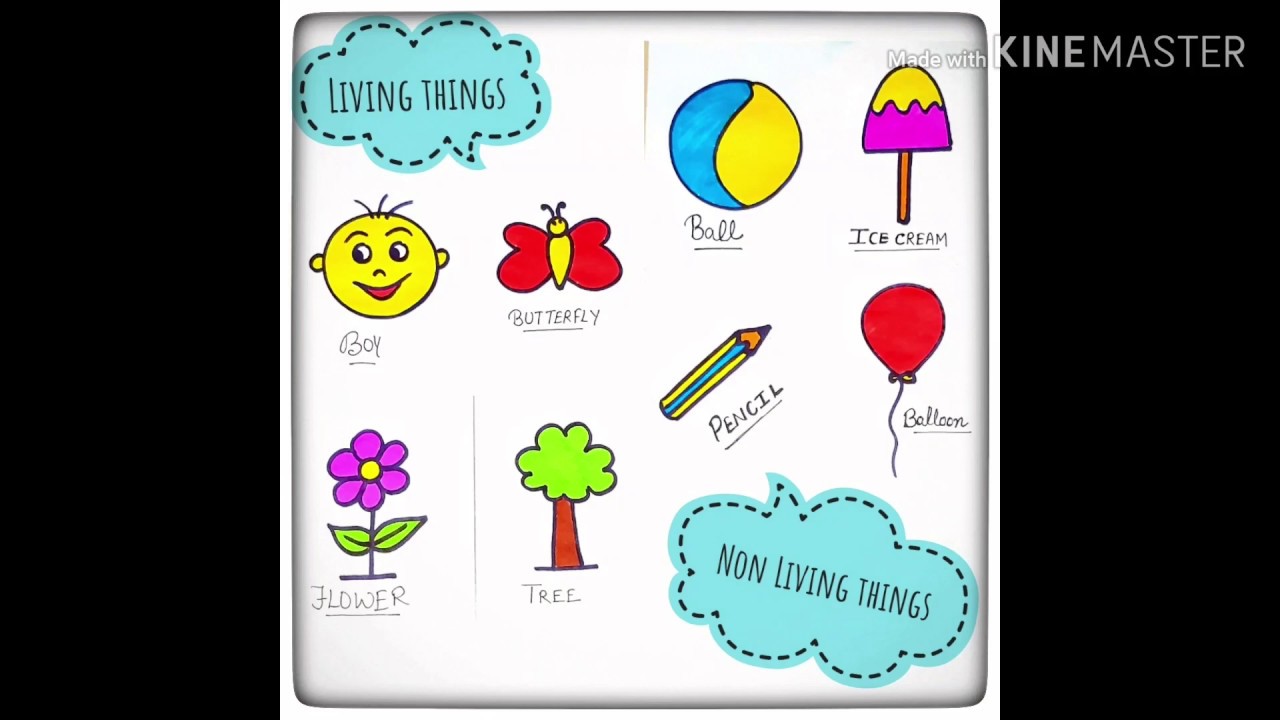 How to draw living and non living things for kids | living things ...