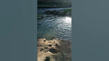 Jalala Hwar Viral 