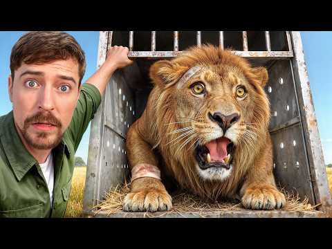 أنقذت 1000 حيوان من الموت