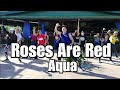 AQUA - ROSES ARE RED | Dance Fitness | #DanceNice