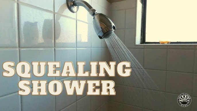 Why Does My Shower Squeal? Discover Common Causes