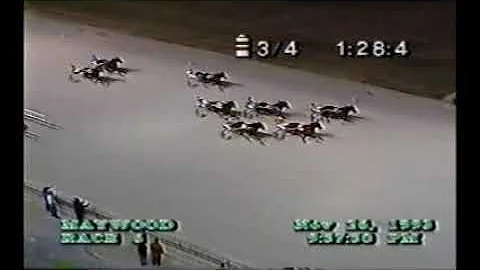 1993 Maywood Park BOB'S ESCORT Steve Bauder