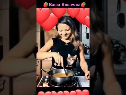 Туши Туши , Пожар Моей Души !!!!!❤️🔥💓😭❤️💓😔🐈❤️❤️❤️❤️❤️❤️❤️❤️❤️❤️❤️❤️❤️💓💓💓💓🥰