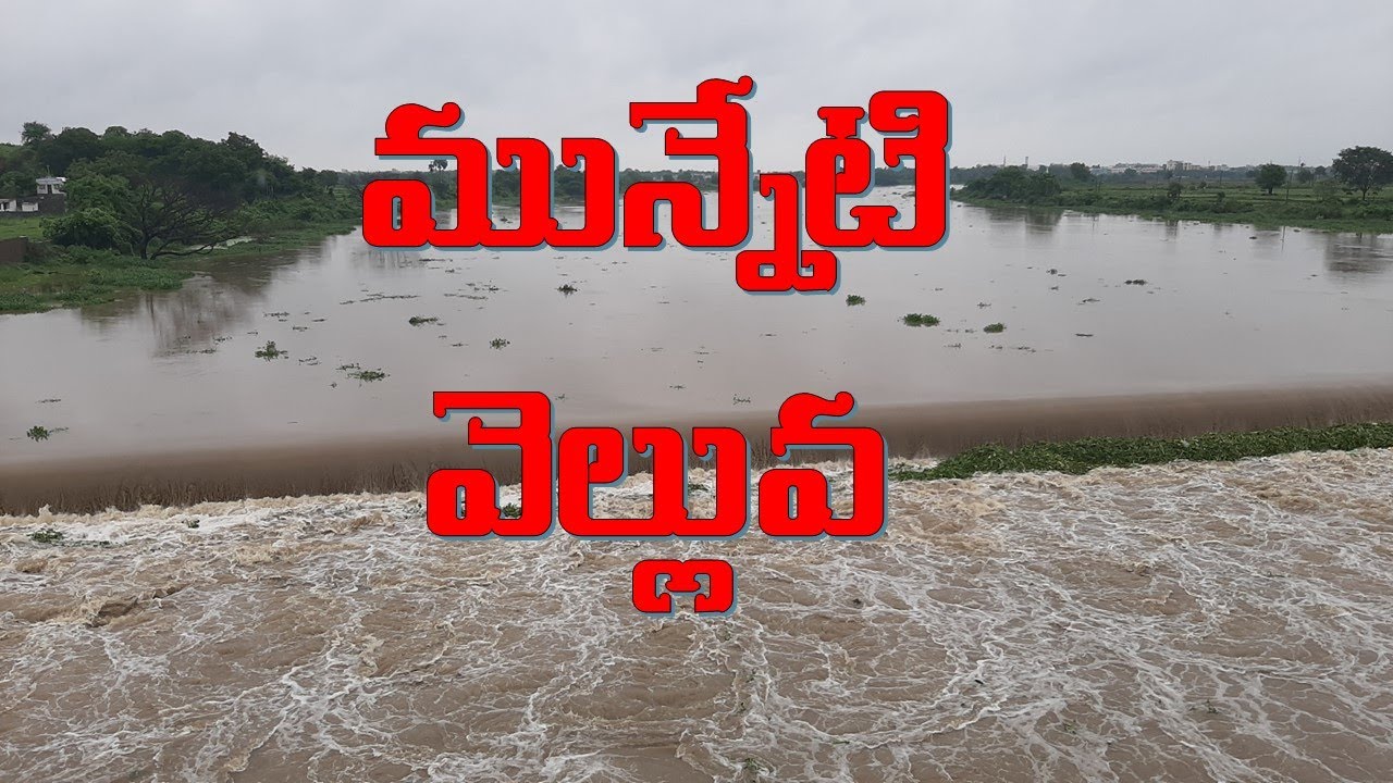 munneru water level increased view | khammam munneru | - YouTube