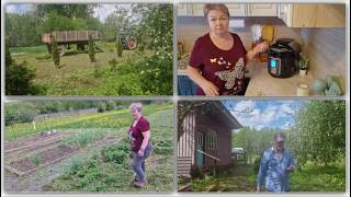 ДЕМОНТИРОВАЛИ СТАРЫЙ ЗАБОР,ПОСТАВИЛА ЙОГУРТ В МУЛЬТИВАРКЕ И ДРУГИЕ МЕЛКИЕ ДЕРЕВЕНСКИЕ ДЕЛА.
