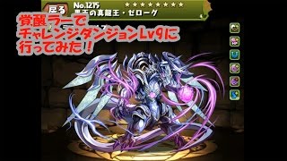 【パズドラ】チャレンジダンジョンLv9　（覚醒ラー）【ファミ通App】