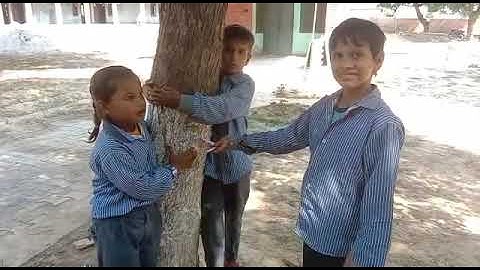 Role-Play | Saving Trees | NIPUN Haryana Mission | #fln