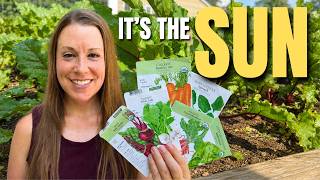 What to Plant in September (What I Learned the Hard Way)