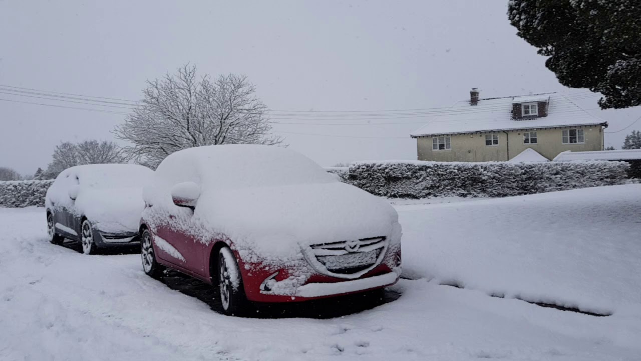 1 February 2019. Из дома не выехать. Снег