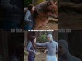 lol the head pet #twilight #twilightsaga #kristenstewart #robertpattinson #bts #cgi #shorts