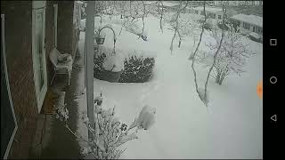 East Haven Snow Storm Report • January 7, 2022 screenshot 2